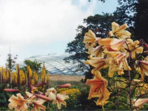 Millenium Gardens, Llanarthne, Carmarthenshire
