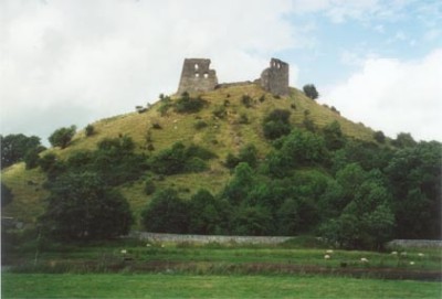 Dryslwyn Castle
